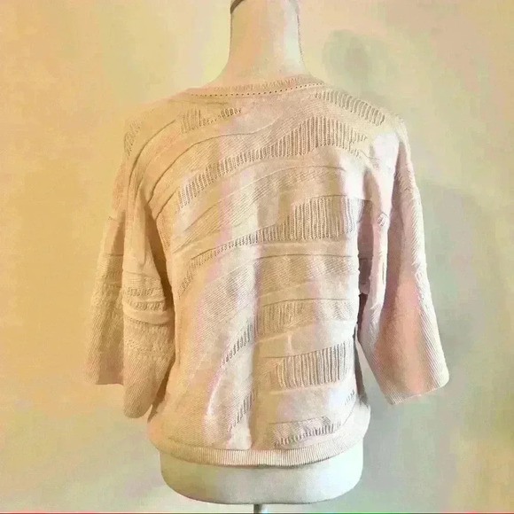 CAbi Blush Zebra Shy Dolman Sleeve Pullover Sweater - Picture 5 of 7